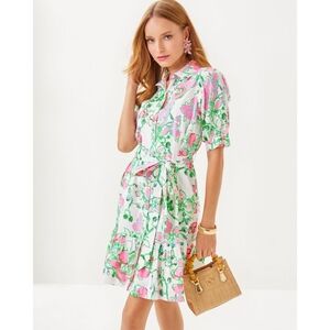 NWT Lilly Pulitzer Sashria Dress - 10
